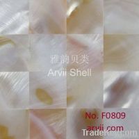 Freshwater shell mosaic