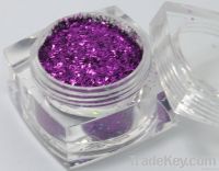 Glitter Powder (TS304)