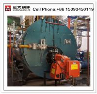 Gas fired steam boiler