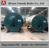 Natural gas fired steam boiler