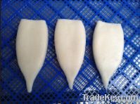 frozen squid tubes