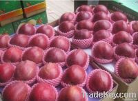 Fresh Red Huaniu Apple