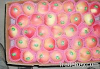 Fresh Red Huaniu Apple