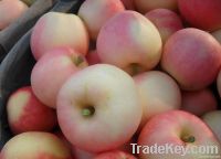 fresh gala apple