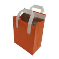 Insulated Cooler Bag For Food Delivery