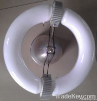 low frequency induction lamp