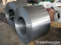 HDG/GI/GL/Galvanized/Galvalume Steel Coil /GI/ Zinc Coated Steel Coil