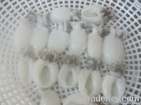 FROZEN BABY CUTTLEFISH WHOLE CLEANED