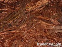 Copper Scraps Suppliers | Copper Scrap Exporters | Copper Scrap Manufacturers | Cheap Copper Scrap | Wholesale Copper Scraps | Discounted Copper Scrap | Bulk Copper Scraps | Copper Scrap Buyer | Import Copper Scrap | Copper Scrap Importers | Copper Scrap 