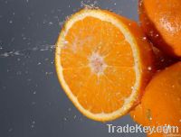 Juicy Orange