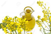 Rapeseed Oil