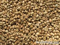 Export Robusta Coffee Beans | Robusta Coffee Bean Importer | Robusta Coffee Beans Buyer | Buy Robusta Coffee Beans | Robusta Coffee Bean Wholesaler | Robusta Coffee Bean Manufacturer | Best Robusta Coffee Bean Exporter | Low Price Robusta Coffee Beans | B