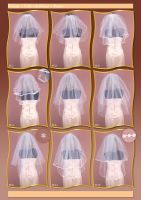 Bridal Wedding Veils