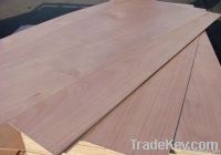 mersawa plywood