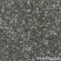 Cheap G664 Natural granite tiles