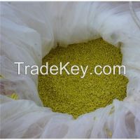 Potassium Amyl Xanthate