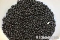 black kidney beans