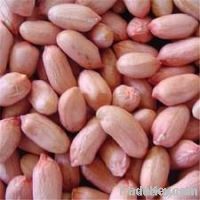 raw peanuts