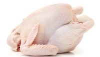 EXPORT GRADE HALAL FROZEN WHOLE CHICKEN