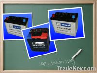 high quality dry charged car battery