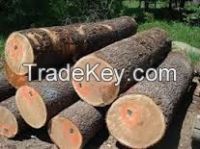 FRESH CUT OAK LOGS, STRAIGHT OAK LOGS, EUROPEAN OAK LOGS, OAK LUMBER, SAWN OAK LUMBER