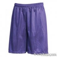 LA Speedy Mesh Shorts