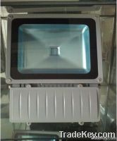 LED Flood light competitive price