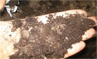 Organic Fertilizer