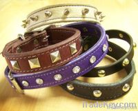 Leather Dog Collar