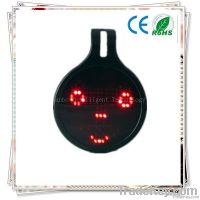led Christmas gift for car owner 2013