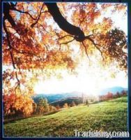 P6.67 SMD Outdoor Full-color Transbrick Tile