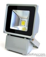 LED flood light
