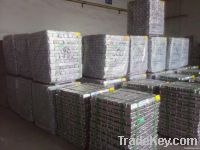 Aluminum Ingot