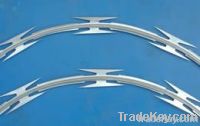 Galvanized Razor Wire
