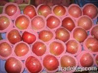 unbagged qinguan apple