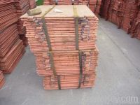 Copper Cathode