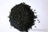 Black Sesame Seed