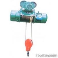 electric hoist