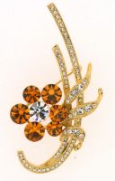 Fashion Brooch