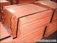 Copper Cathode