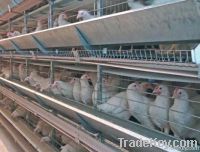 Alternative System for Laying Hens Housing (Baltica)