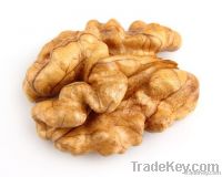 Walnut Kernels | Dried Fruits | Walnut Suppliers | Walnut Exporters | Walnut Manufacturers | Cheap Walnut | Wholesale Walnut | Discounted Walnut | Bulk Walnut | Walnut Buyer | Import Walnuts | Shelled Walnuts