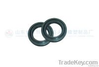 oil seal