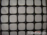 PP Biaxial geogrid