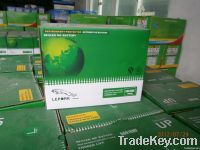 Maintenance Free Automotive Batteries