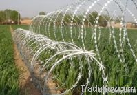 razor barbed wire