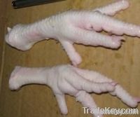  Export Chicken Paw | Chicken Feet Suppliers | Poultry Feet Exporters | Chicken Feets Traders | Processed Chicken Paw Buyers | Frozen Poultry Paw Wholesalers | Low Price Freeze Chicken Paw | Best Buy Chicken Paw | Buy Chicken Paw | Import Chicken Paw | Ch