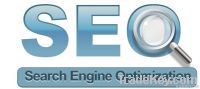 SEO service