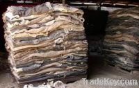 Dry and Wet salted Cow hides