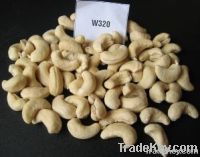 W240 Cashew Nuts Suppliers | W320 Cashew Nut Exporters |Buy  WW230 Cashew Nut | Cheap W450 Cashew Nut | Wholesale WW240 Cashew Nut |Discount WW320 Cashew Nuts | WW450 Cashew Nut | SW320 Cashew Nut